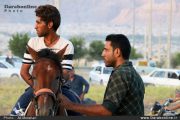 برگزاری یک دوره مسابقات کورس اسب دوانی در داراب