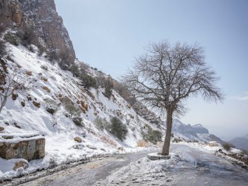 📸تصاویر زیبای بارش برف در گردنه بالش