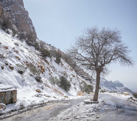 📸تصاویر زیبای بارش برف در گردنه بالش