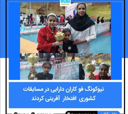 نیوکونگ فو کاران دارابی در مسابقات کشوری افتخار آفرینی کردند