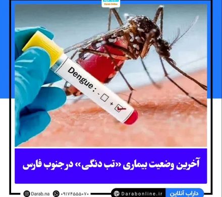 آخرین وضعیت بیماری «تب دنگی» در جنوب فارس