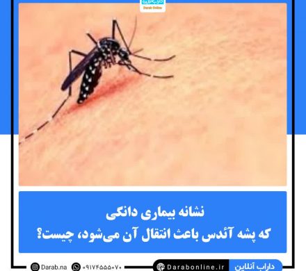 نشانه بیماری دانگی که پشه آئدس باعث انتقال آن میشود، چیست؟