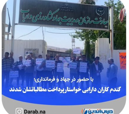 با حضور در جهاد و فرمانداری؛ گندم کاران دارابی خواستار پرداخت مطالباتشان شدند