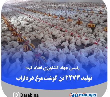 تولید ۲۲۷۴ تن گوشت مرغ در داراب
