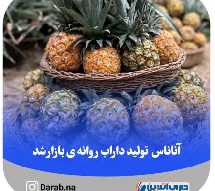 آناناس داراب روانه ی بازار شد