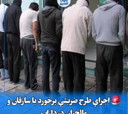 اجرای طرح ضربتی برخورد با سارقان و مالخران در داراب