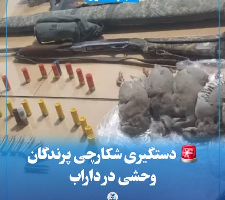 🚨 دستگیری شکارچی پرندگان وحشی در داراب