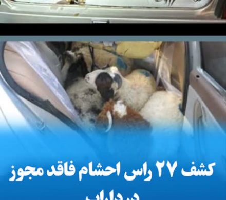 کشف ۲۷ راس احشام فاقد مجوز در داراب