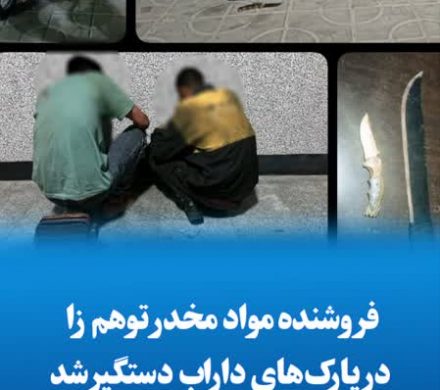 فروشنده مواد مخدر توهم زا در پارک‌های داراب دستگیر شد