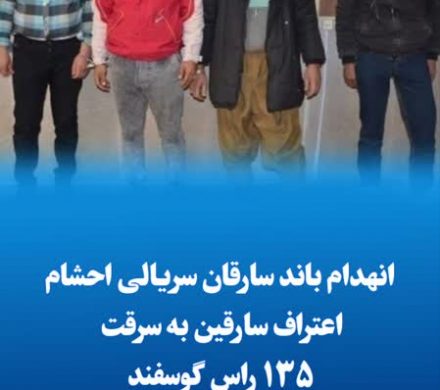 انهدام باند سارقان سریالی احشام/اعتراف سارقین به سرقت ۱۳۵ راس گوسفند