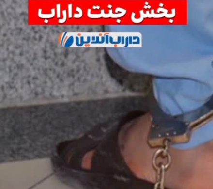 دستگیری سارقین در بخش جنت داراب