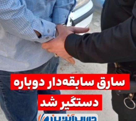 سارق سابقهدار دوباره دستگیر شد