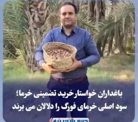 باغداران خواستار خرید تضمینی خرما؛ سود اصلی خرمای فورگ را دلالان می برند