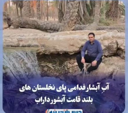 آبِ آبشار فدامی پای نخلستان های بلند قامت آبشور داراب