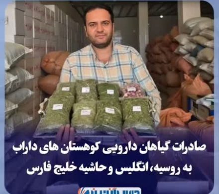 صادرات گیاهان دارویی کوهستان های داراب به روسیه، انگلیس و حاشیه خلیج فارس