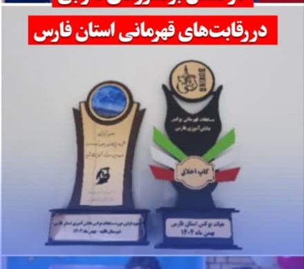 درخشش بوکسورهای دارابی در رقابتهای قهرمانی استان فارس