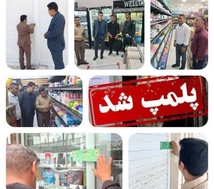 پلمب سه واحد صنفی متخلف در گشت مشترک بازرسی در شهرستان