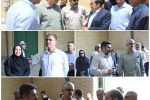 پروژه کارخانه خوراک دام داراب؛ گامی مهم در توسعه کشاورزی و اشتغال منطقه